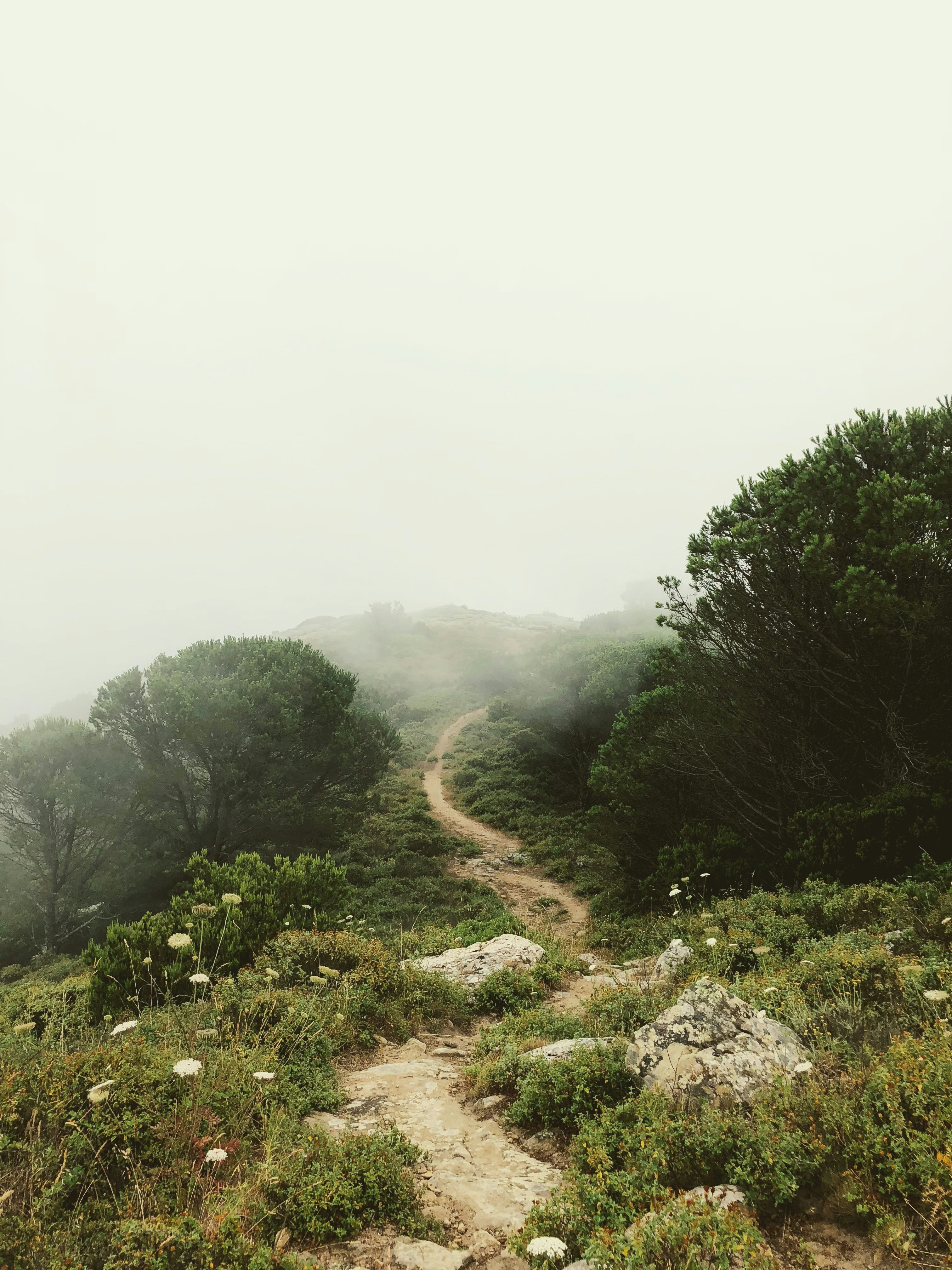 Trail through hills